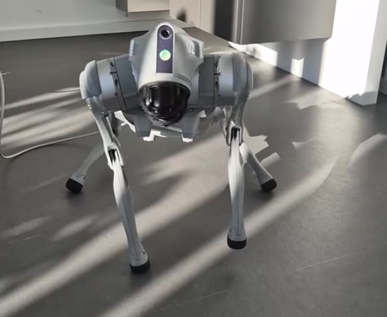 Robotic Dog