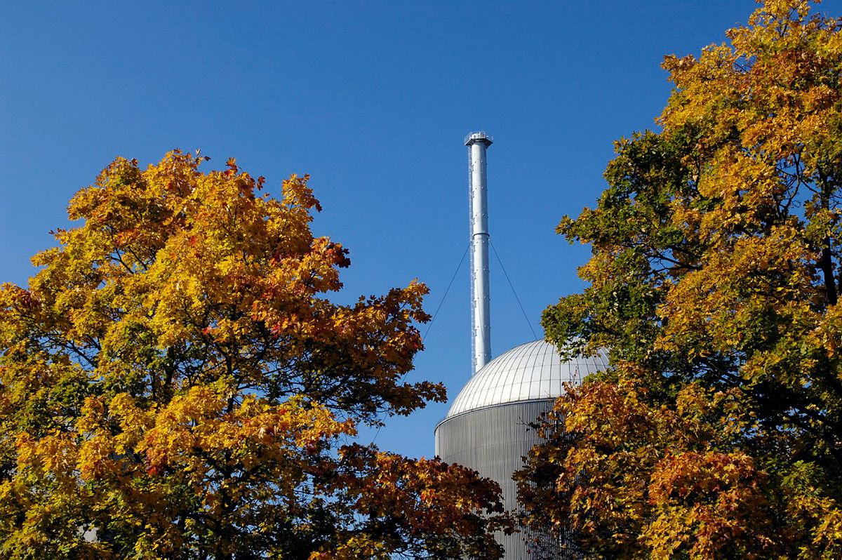 Golden leaves frame Berlin TV Tower against blue sky.